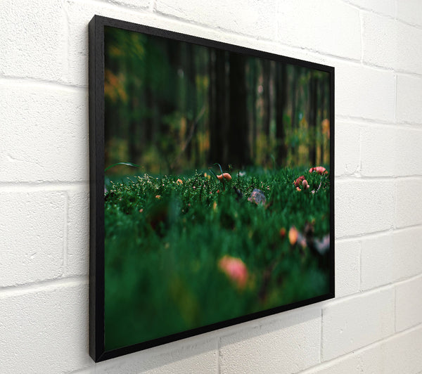 Green Forest Floor
