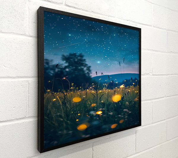 Blue Nightglow Field