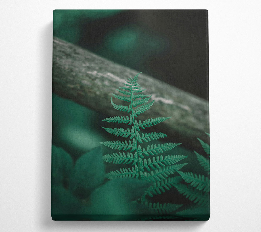  A Canvas Print of Emerald Fern Frond Canvas Wall Art