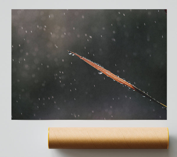 The Gray Rain Drop Poster