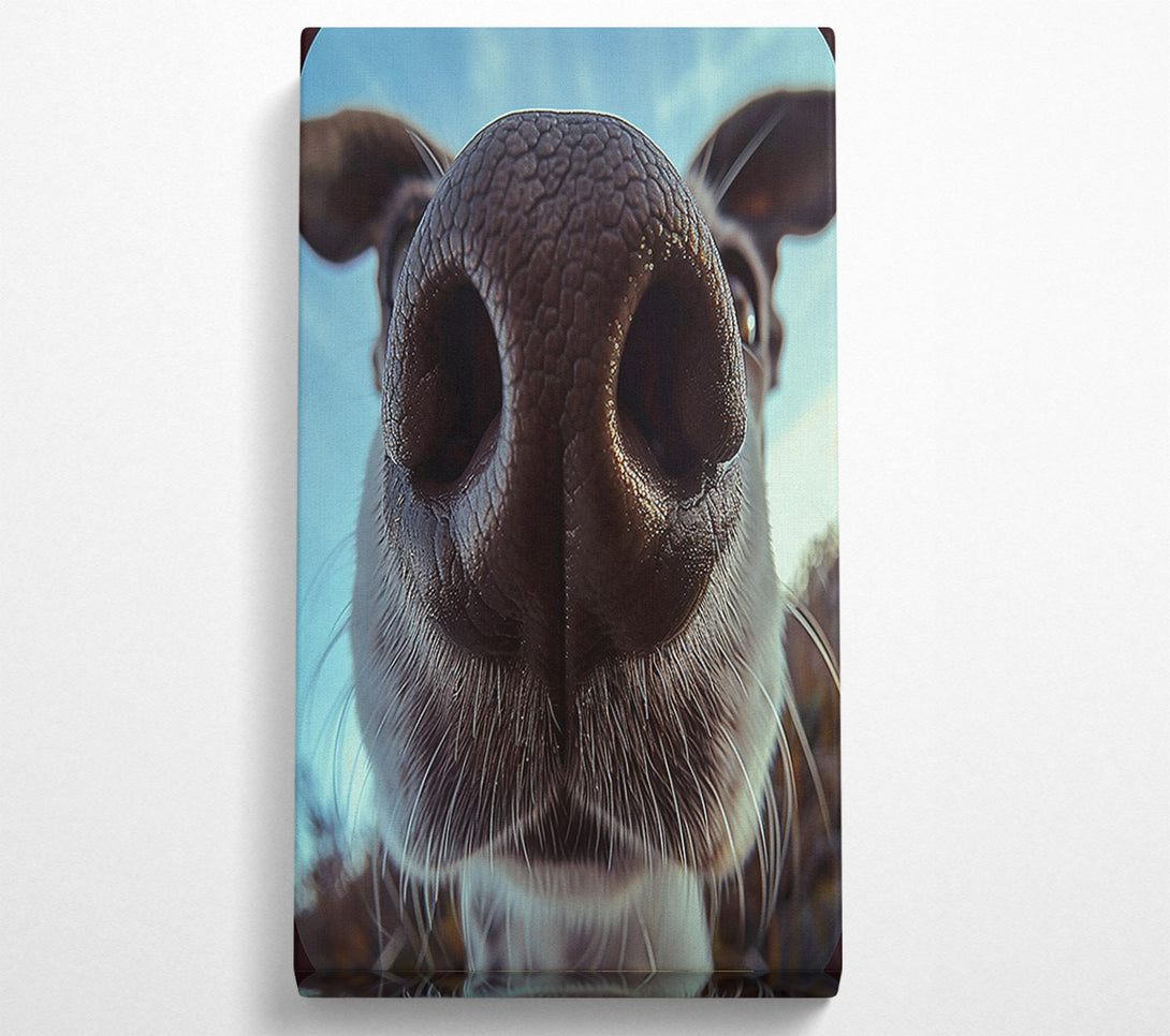  A Canvas Print of Dog Sniff Canvas Art