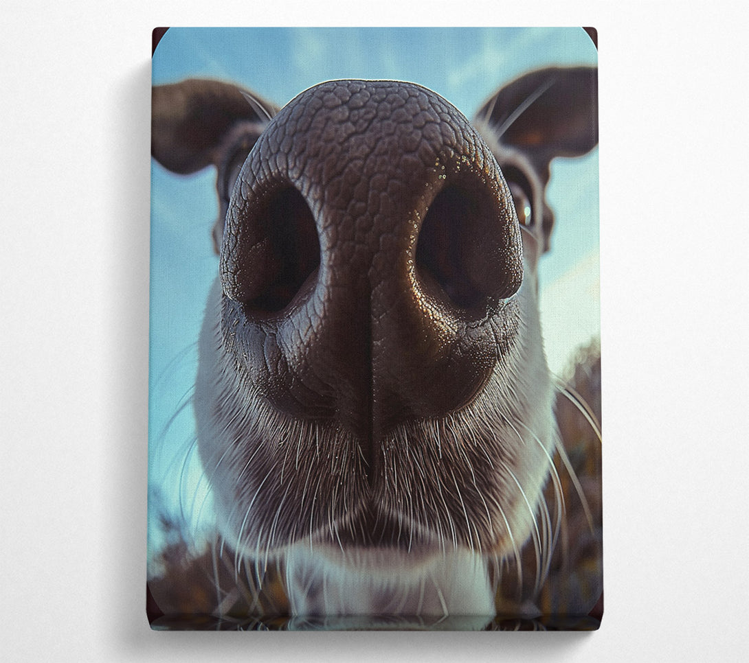  A Canvas Print of Dog Sniff Canvas Art