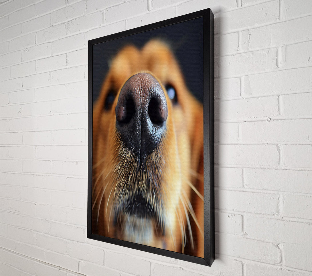  A Canvas Print of Dog Sniffing Canvas Wall Art