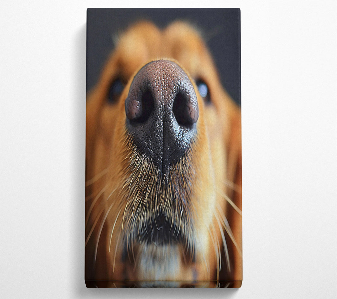  A Canvas Print of Dog Sniffing Canvas Wall Art
