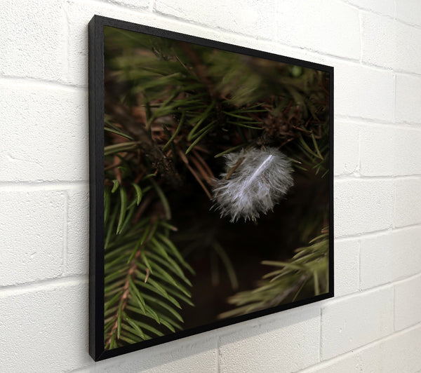 White Feather In Green