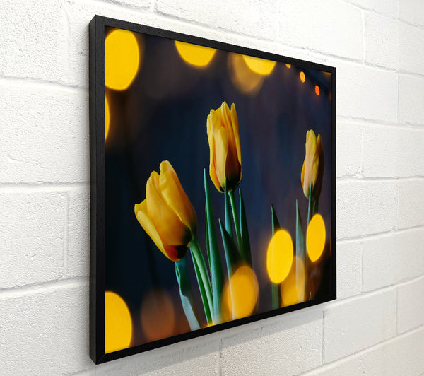 Golden Tulip Lights