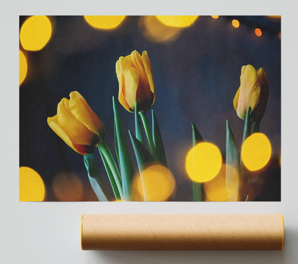 Golden Tulip Lights Giclee Print