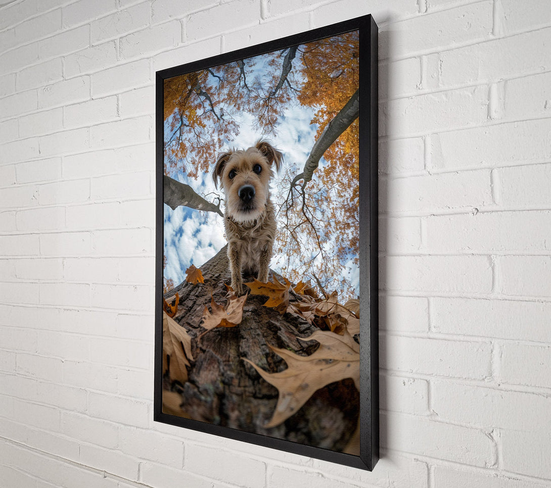  A Canvas Print of Dog Walking Down The Tree Canvas Art