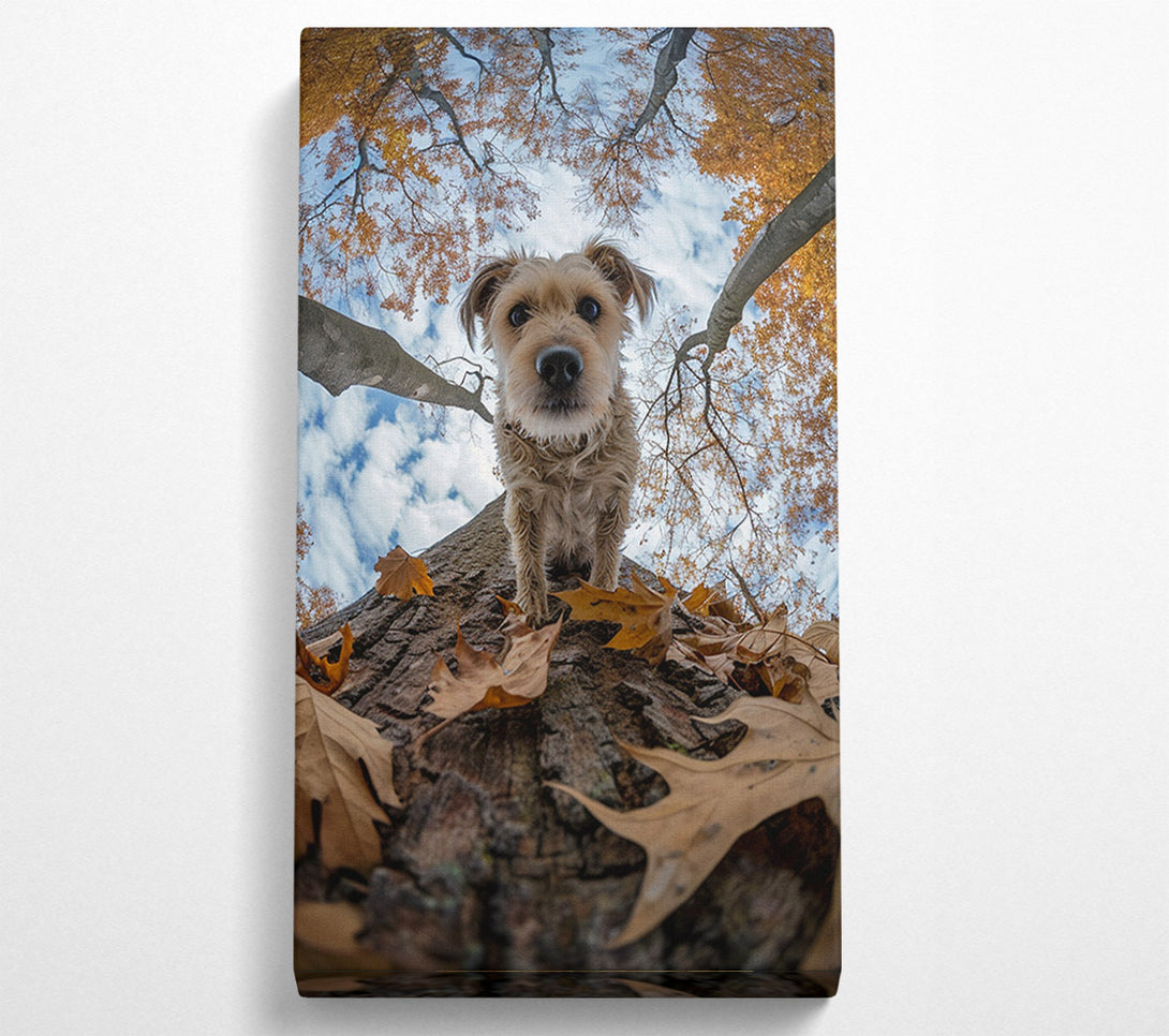  A Canvas Print of Dog Walking Down The Tree Canvas Art
