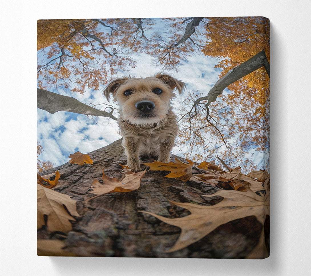  A Canvas Print of Dog Walking Down The Tree Canvas Art