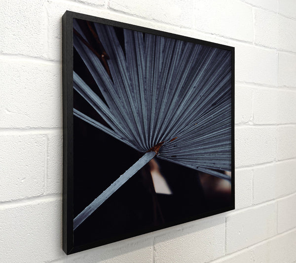 The Grey Palm Frond