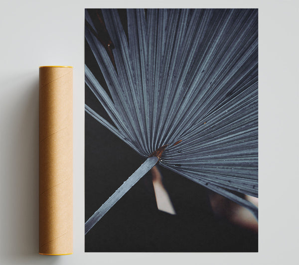 The Grey Palm Frond Poster