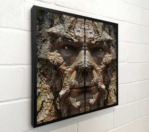 The Brown Bark Face