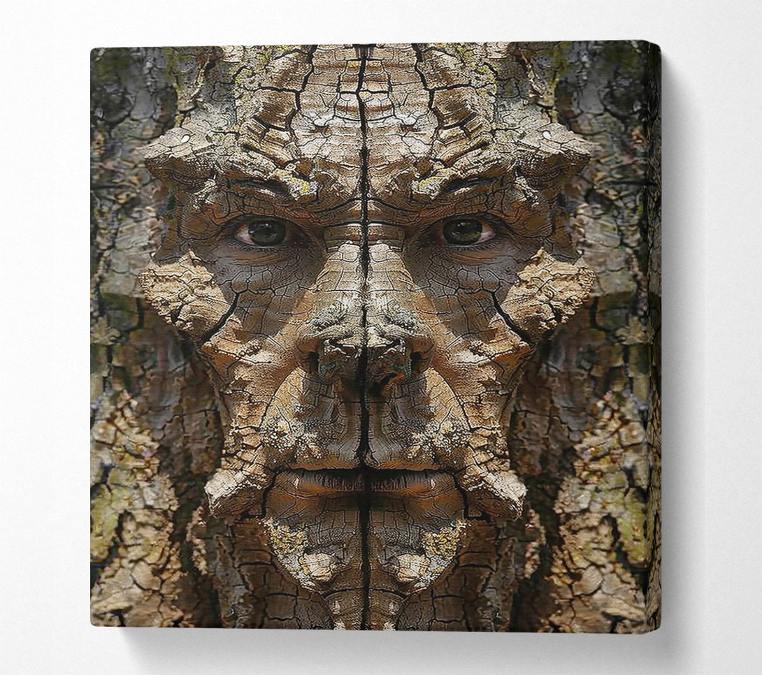  A Canvas Print of The Brown Bark Face Canvas Art