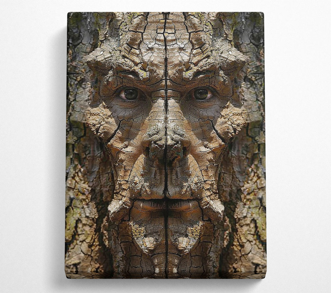  A Canvas Print of The Brown Bark Face Canvas Art