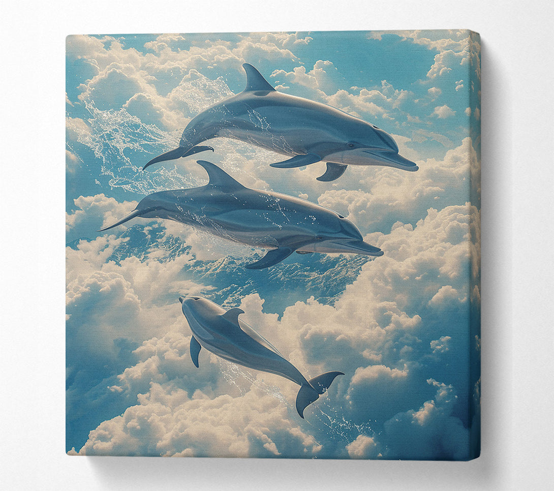  A Canvas Print of Dolphins In The Sky Canvas Art