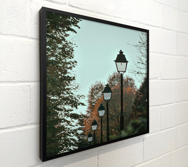 Autumn'S Green Streetlights