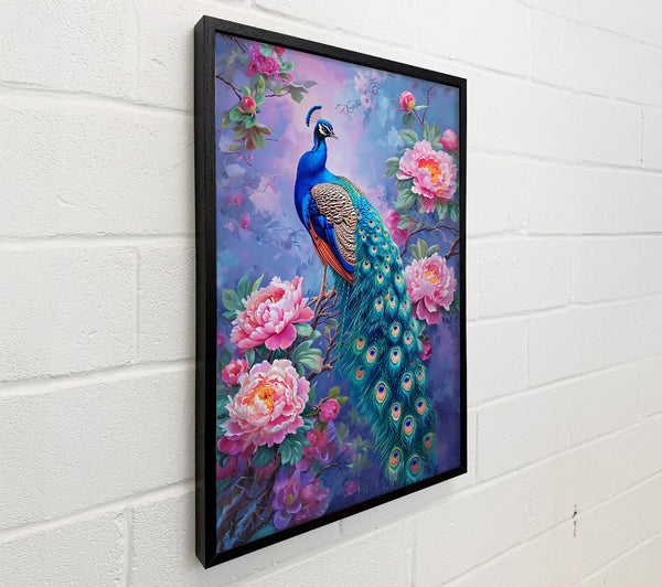 Teal Peacock Dreams