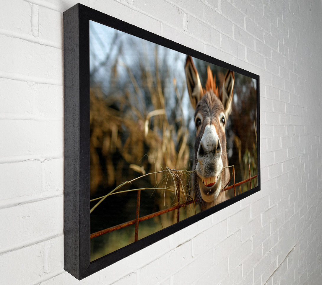  A Canvas Print of Donkey At The Fence Canvas Art