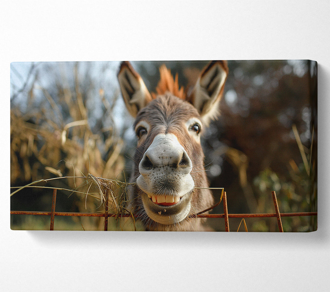  A Canvas Print of Donkey At The Fence Canvas Art