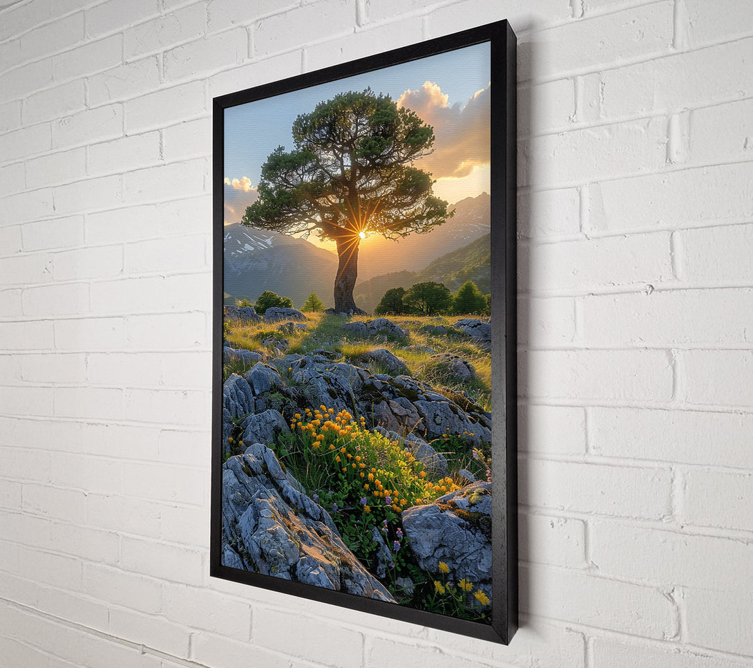  A Canvas Print of Golden Hour Through Branches Canvas Print