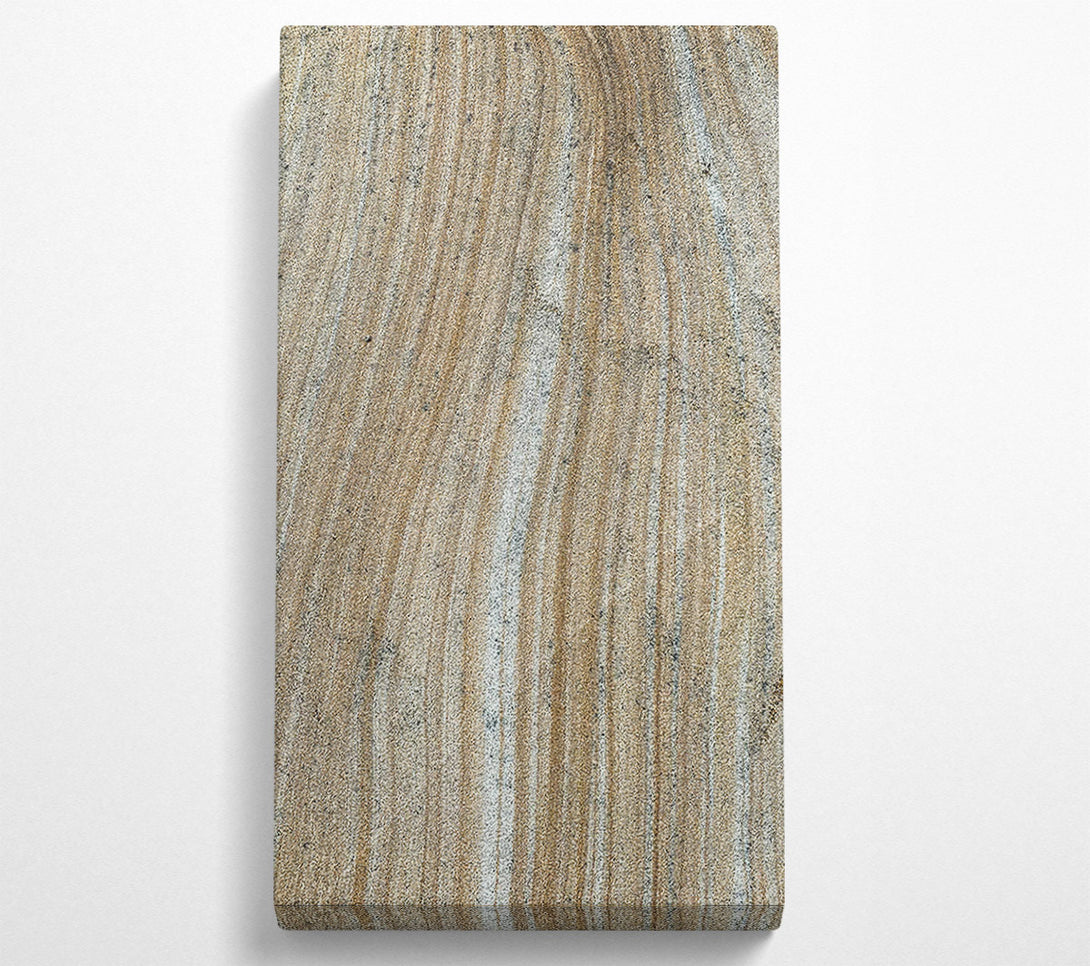  A Canvas Print of Golden Sand Lines Canvas Print