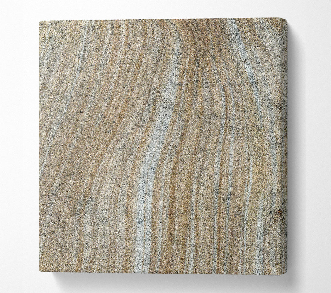  A Canvas Print of Golden Sand Lines Canvas Print