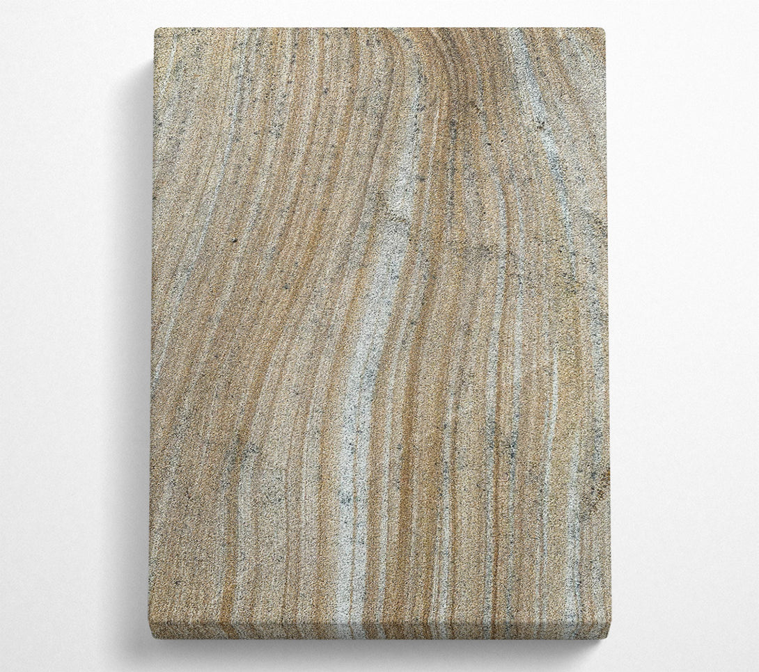  A Canvas Print of Golden Sand Lines Canvas Print