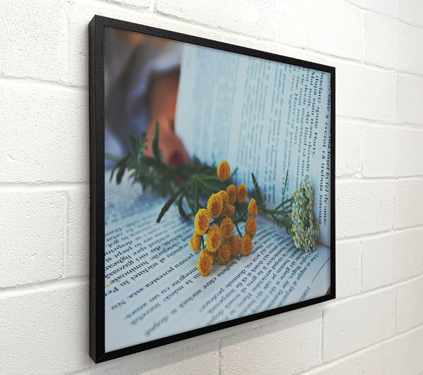 Yellow Blooms On White Pages