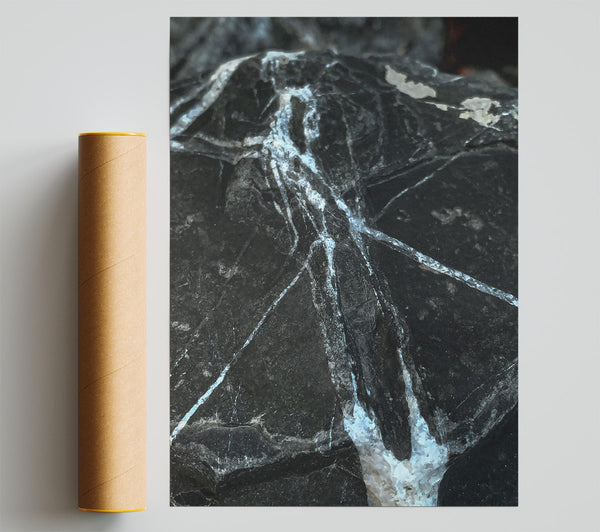 Black And White Veins Poster