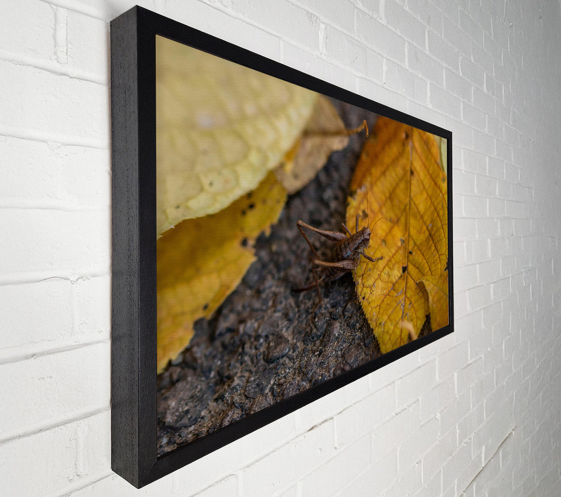  A Canvas Print of Golden Leaf Cricket Canvas Wall Art