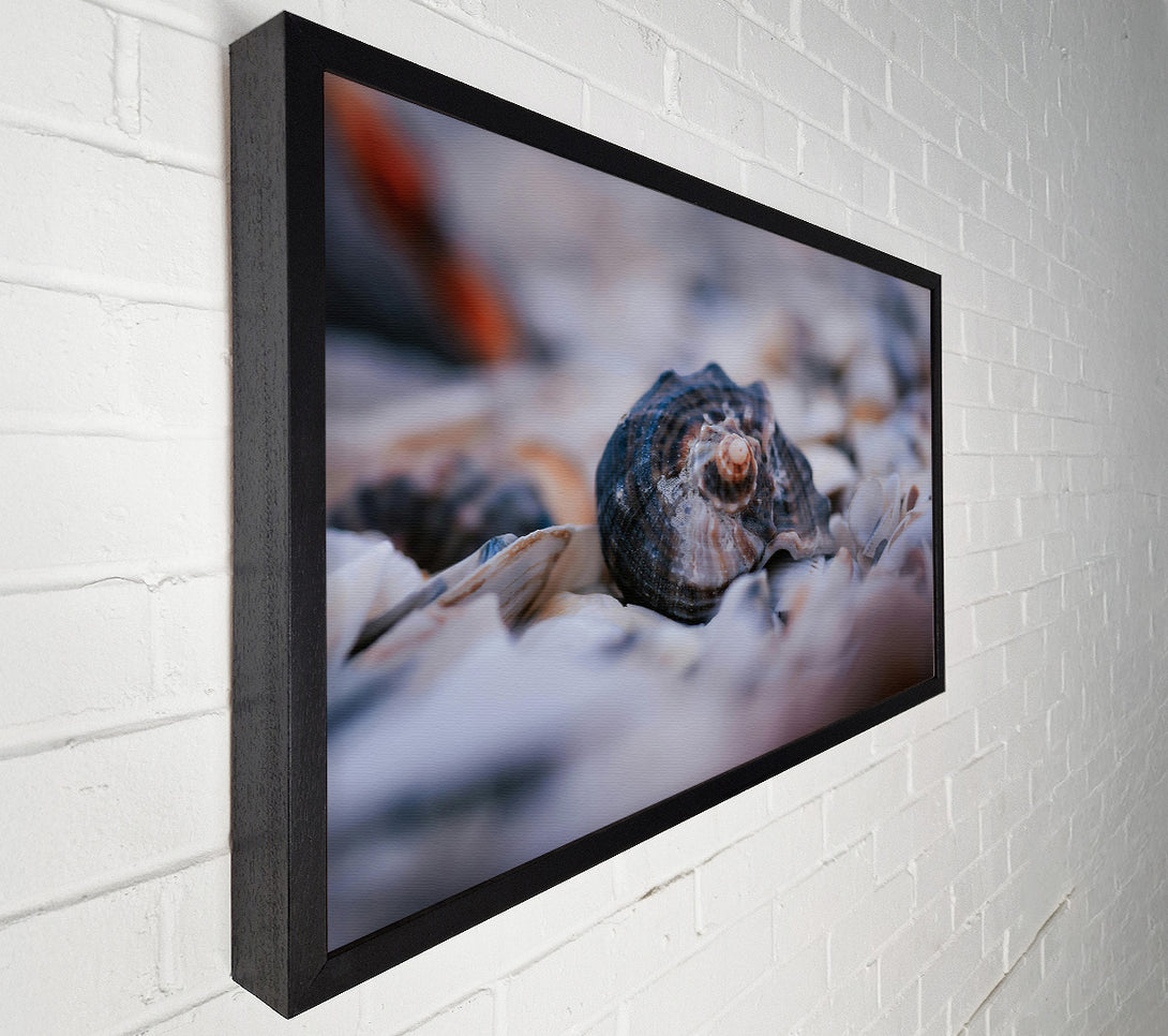  A Canvas Print of Sea Shell In Blue Canvas Print