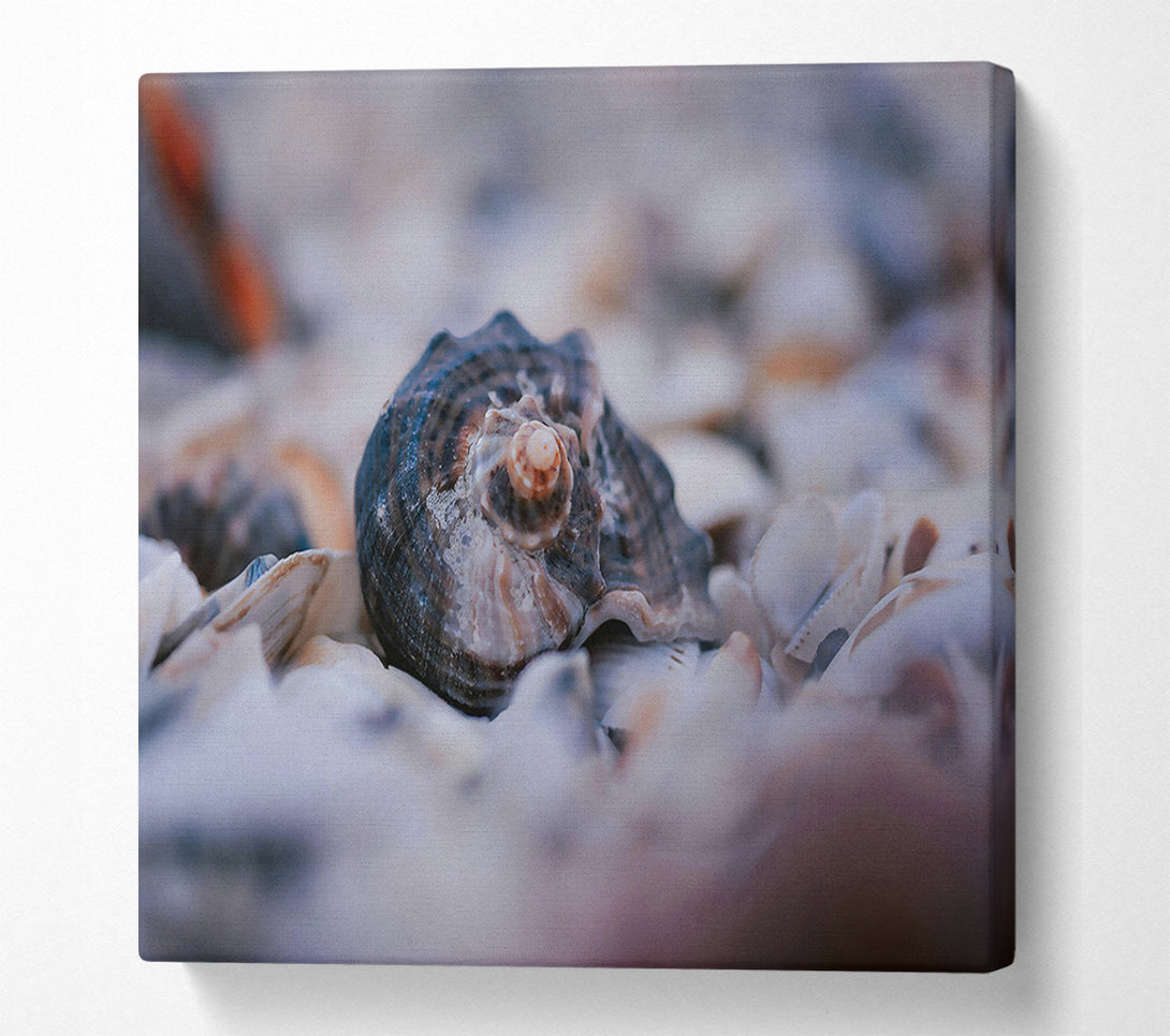  A Canvas Print of Sea Shell In Blue Canvas Print