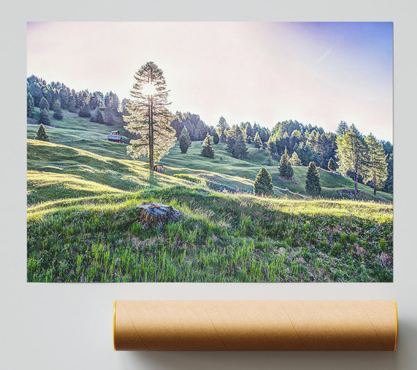 Green Hills Sunlight Poster