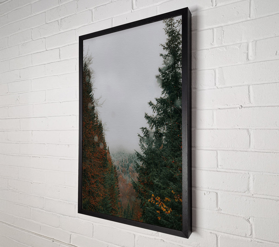  A Canvas Print of Green Forest Mist Canvas Print