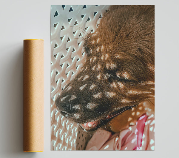 Golden Light Slumber Giclee Print