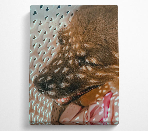  A Canvas Print of Golden Light Slumber Canvas Wall Art