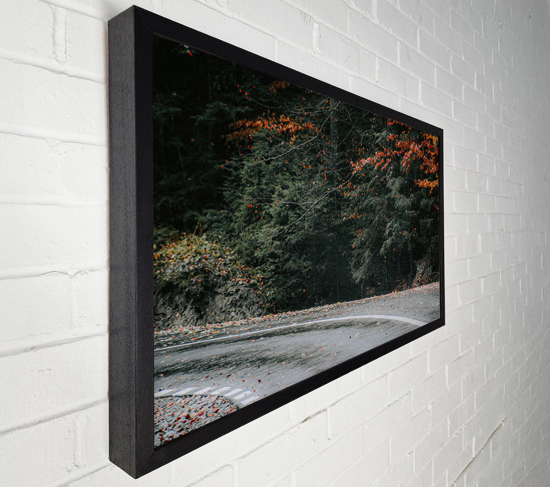  A Canvas Print of Red Leaves On Asphalt Canvas Wall Art