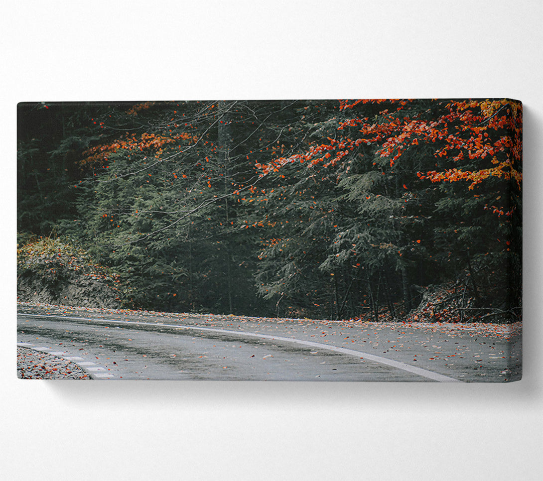  A Canvas Print of Red Leaves On Asphalt Canvas Wall Art
