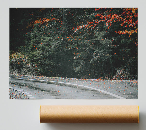 Red Leaves On Asphalt Print