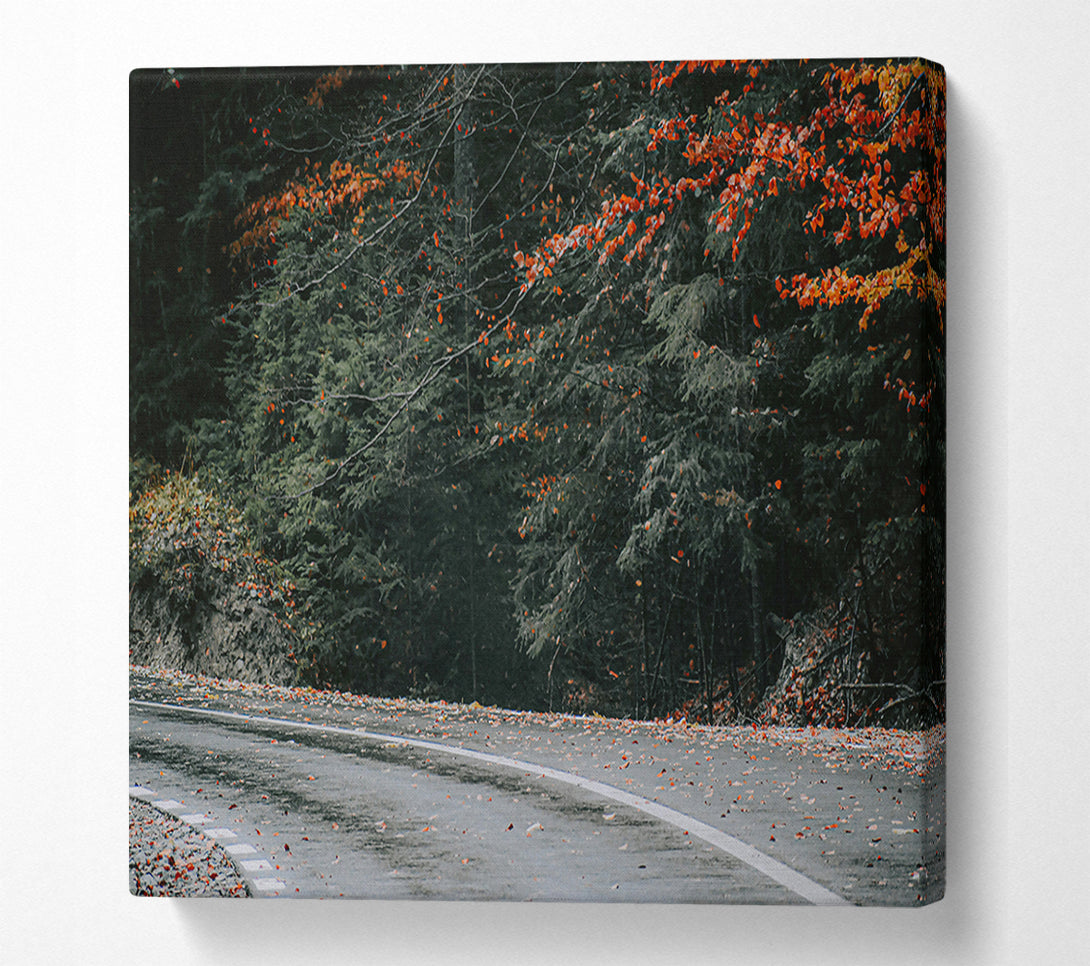  A Canvas Print of Red Leaves On Asphalt Canvas Wall Art