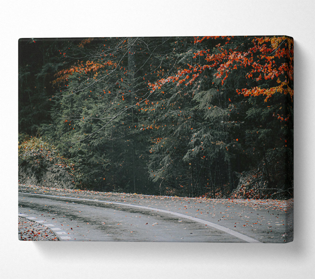  A Canvas Print of Red Leaves On Asphalt Canvas Wall Art