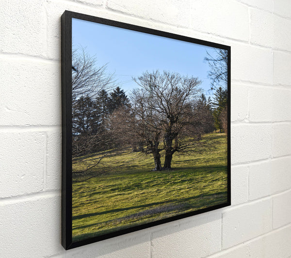 Green Meadow Silhouette