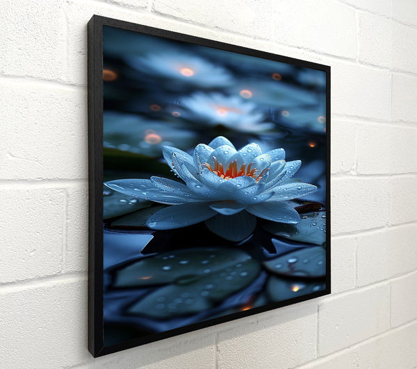 Azure Water Lily Bloom