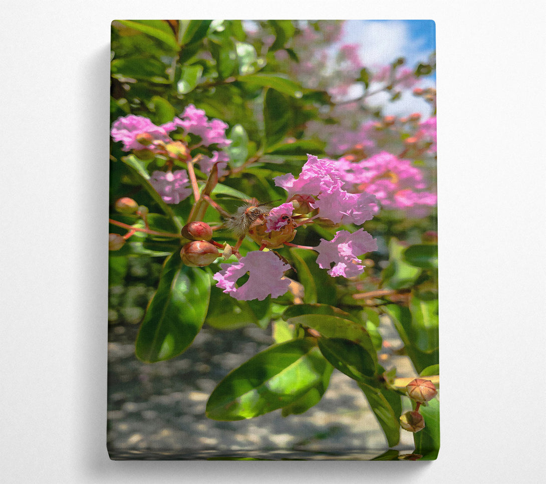  A Canvas Print of Pink Flower Bloom Canvas Art