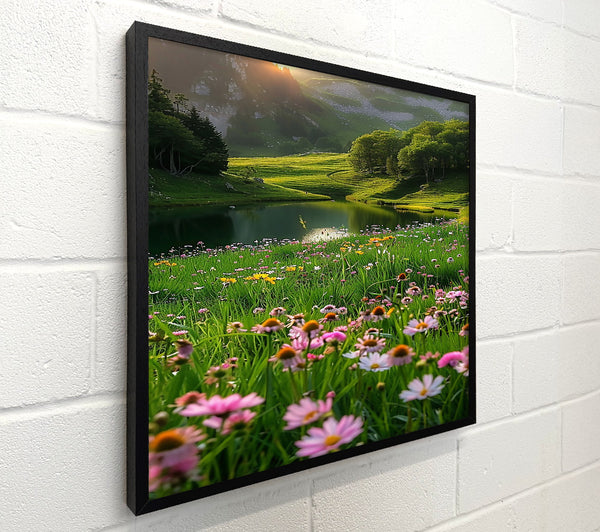 Pink Meadow Lake