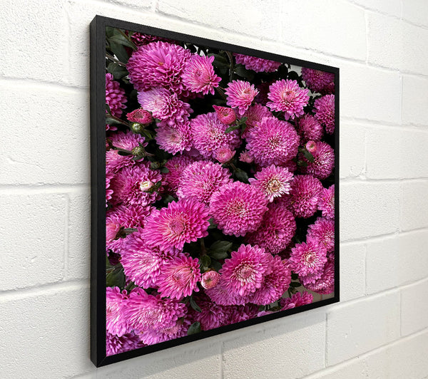 Pink Chrysanthemum Bouquet