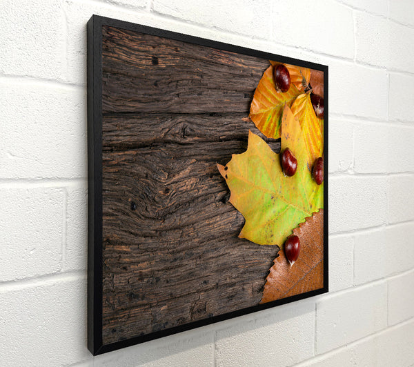Brown Autumn Leaves