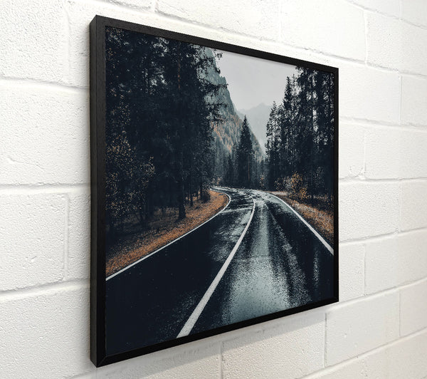 Grey Forest Road