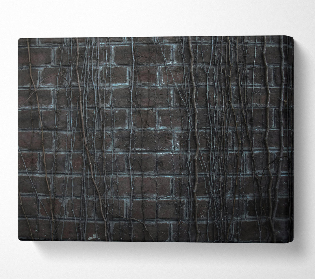  A Canvas Print of Gray Brick Vines Canvas Print